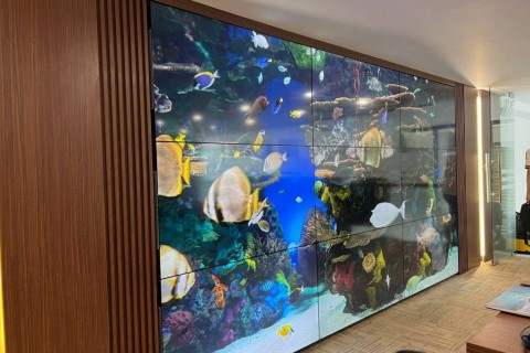 Các phân khúc màn hình ghép từ cao cấp tới giá rẻ có trên thị trường