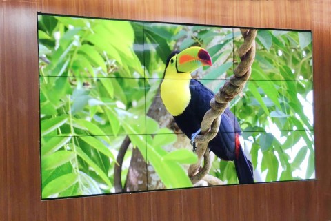 Màn hình ghép LCD có những ưu điểm gì vượt trội?